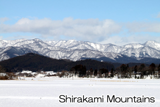 Shirakami Mountains