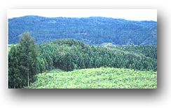 檜山城跡