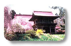多宝院
