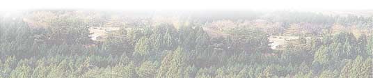 桧山一望イメージ