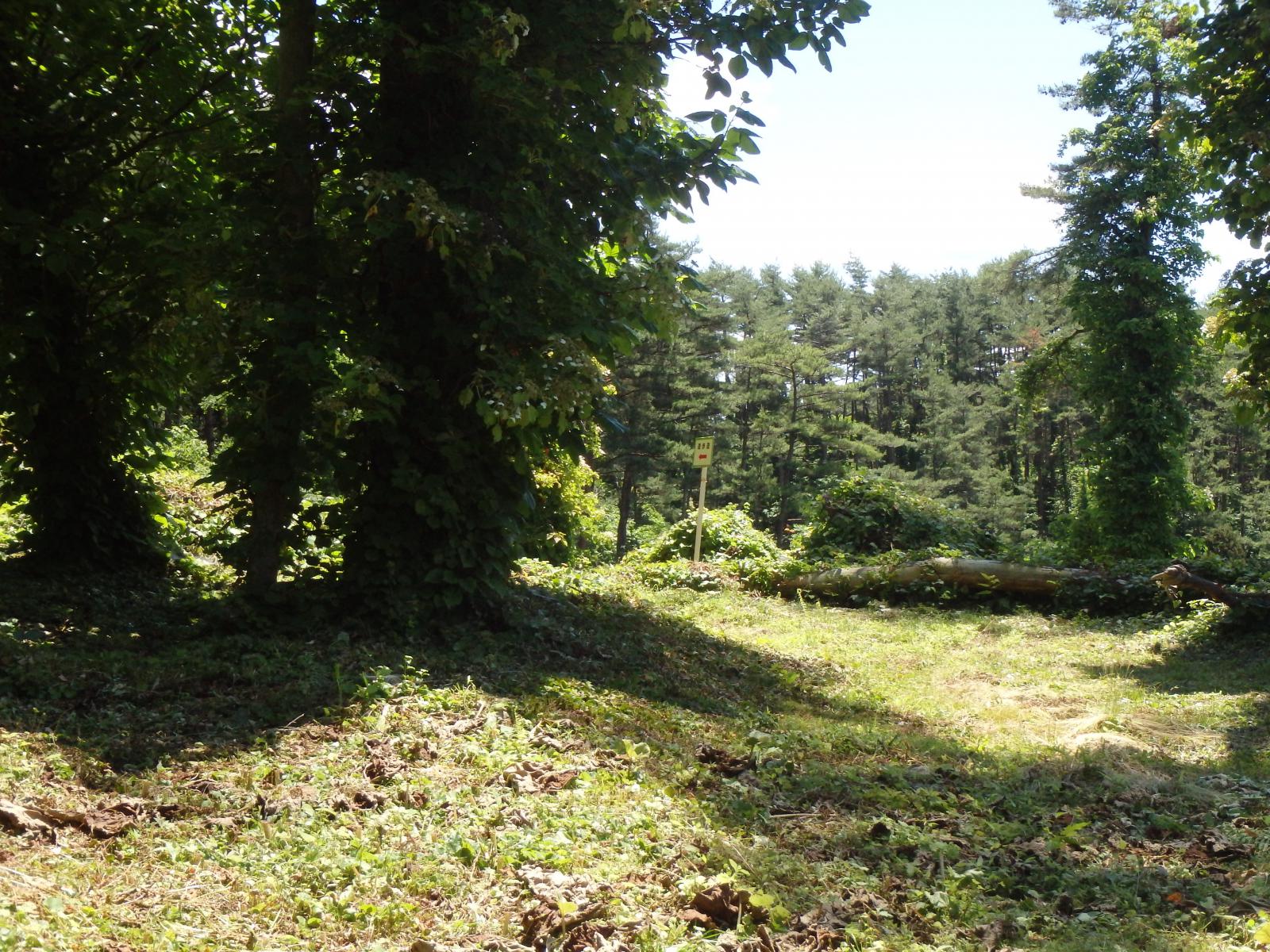 史跡檜山安東氏城館跡将軍山南から大堀切までの道順 能代市