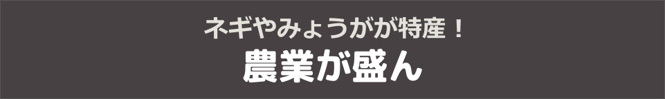 ネギやみょうがが特産！農業が盛んなまち