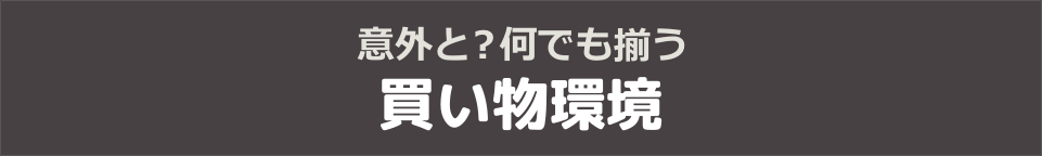 意外と？何でも揃う買い物環境