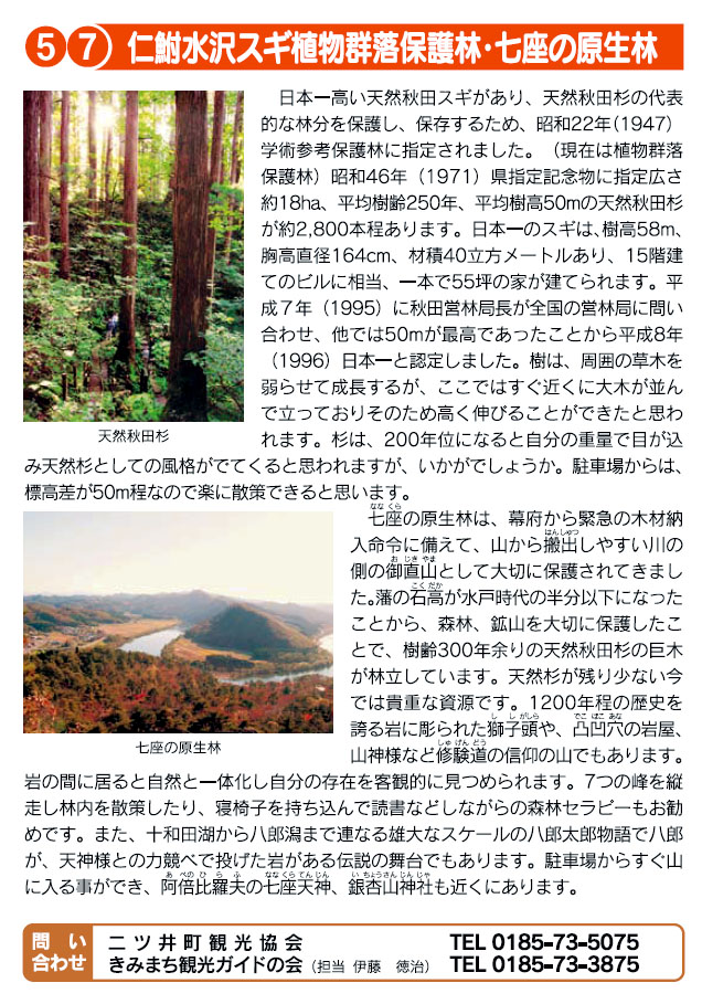 ５・７仁鮒水沢スギ植物群落保護林・七座の原生林