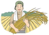 稲作農家