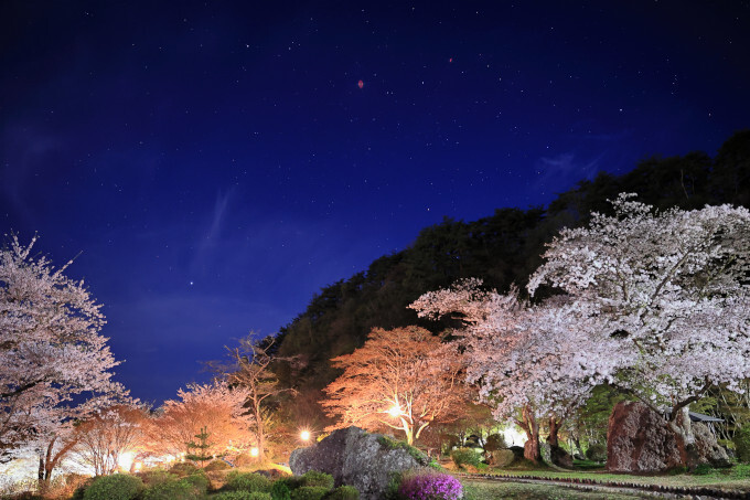 一般部門優秀賞「浮かび上がる桜」