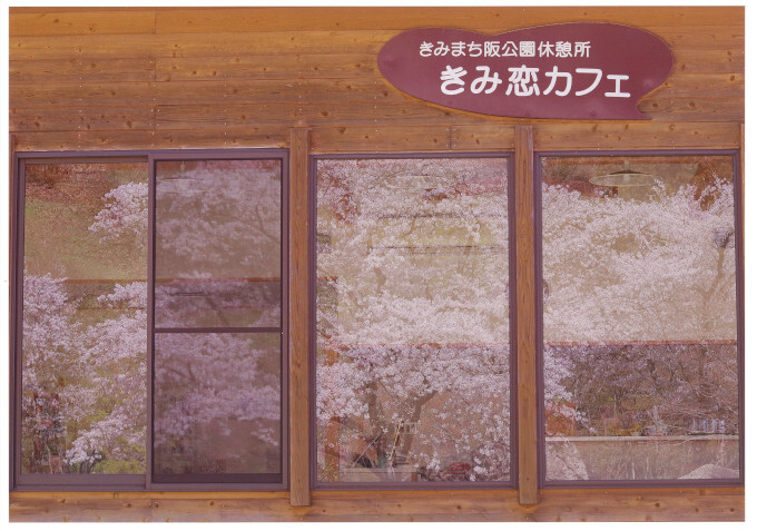 一般部門入賞「サクラ模様」