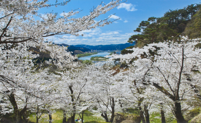 一般部門入賞「きみまち　桜の園」