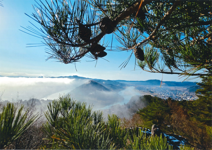 雲海と松ぼっくり
